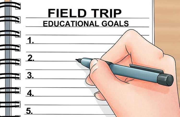 Read more about the article Planning a Successful (and Educational) Field Trip With Peak
