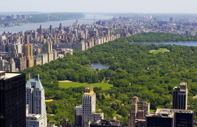 You are currently viewing Great Sites to Consider in New York City