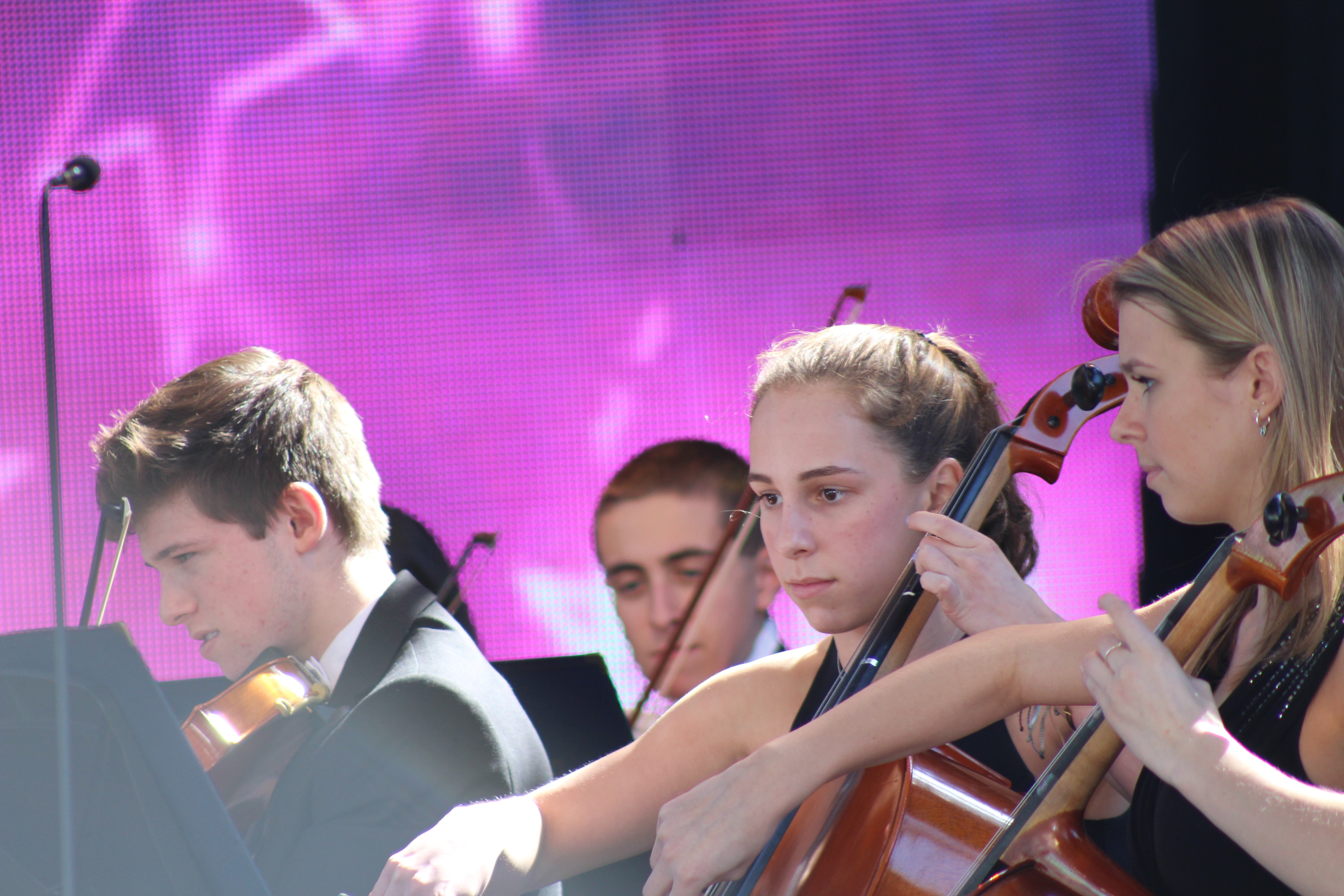 Orchestra